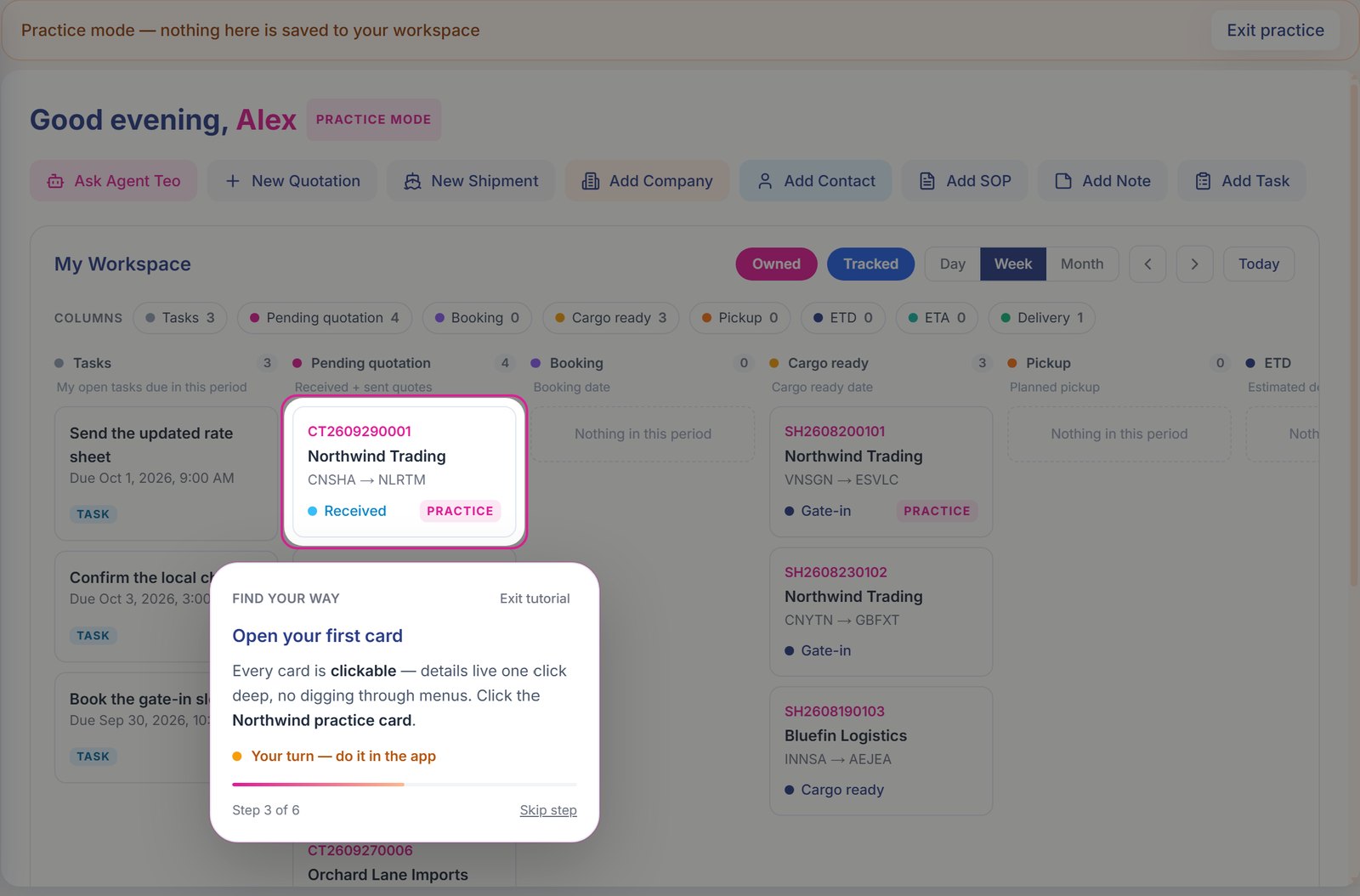 Training Ground: an interactive tutorial step in a practice workspace